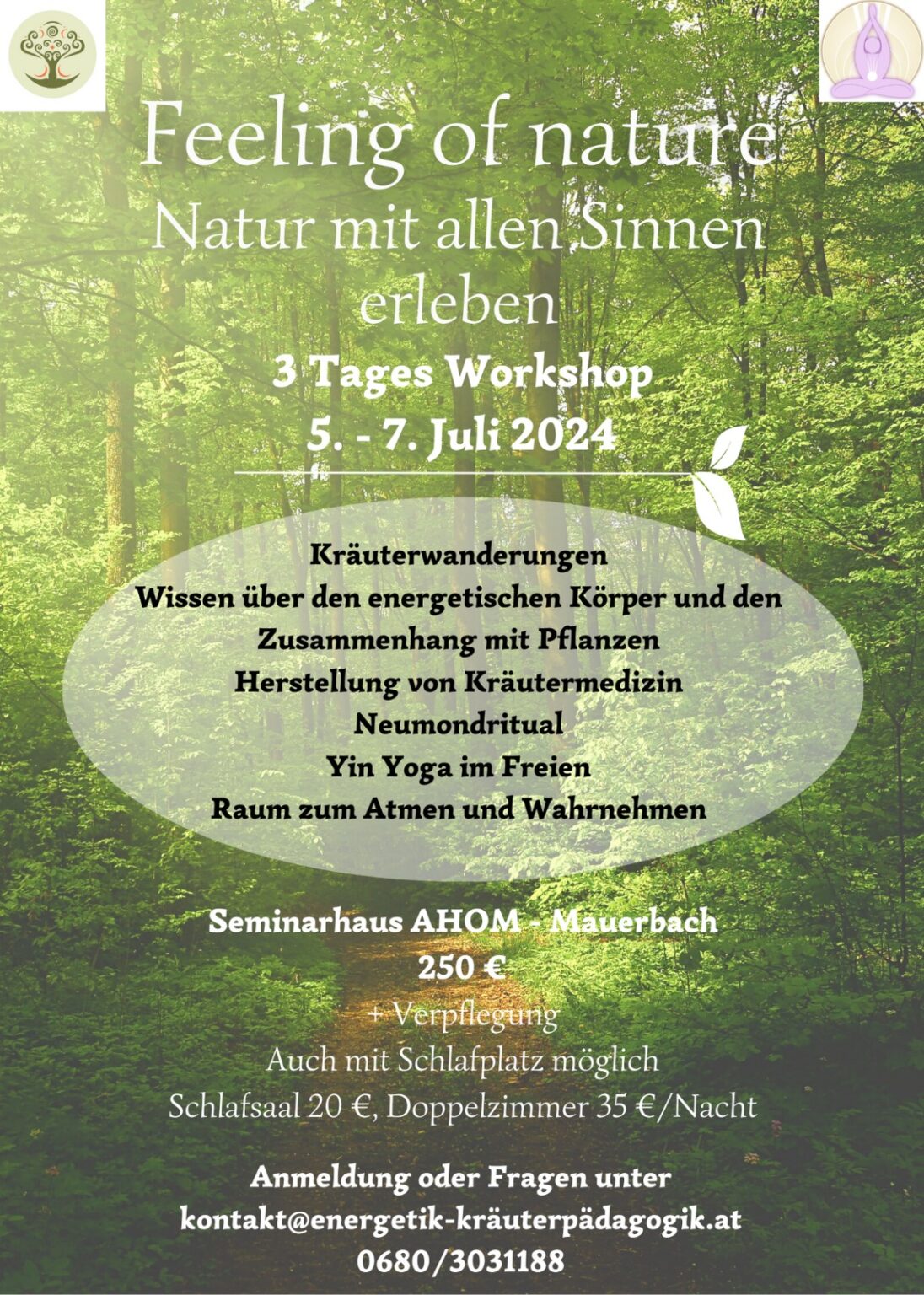 Flyer des Workshops