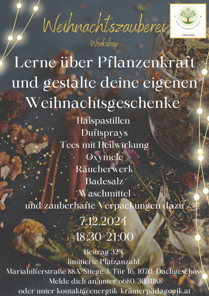 Flyer Weihnachtskräuterworkshop